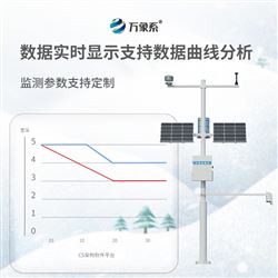 WX-XS3路面積雪深度測量儀