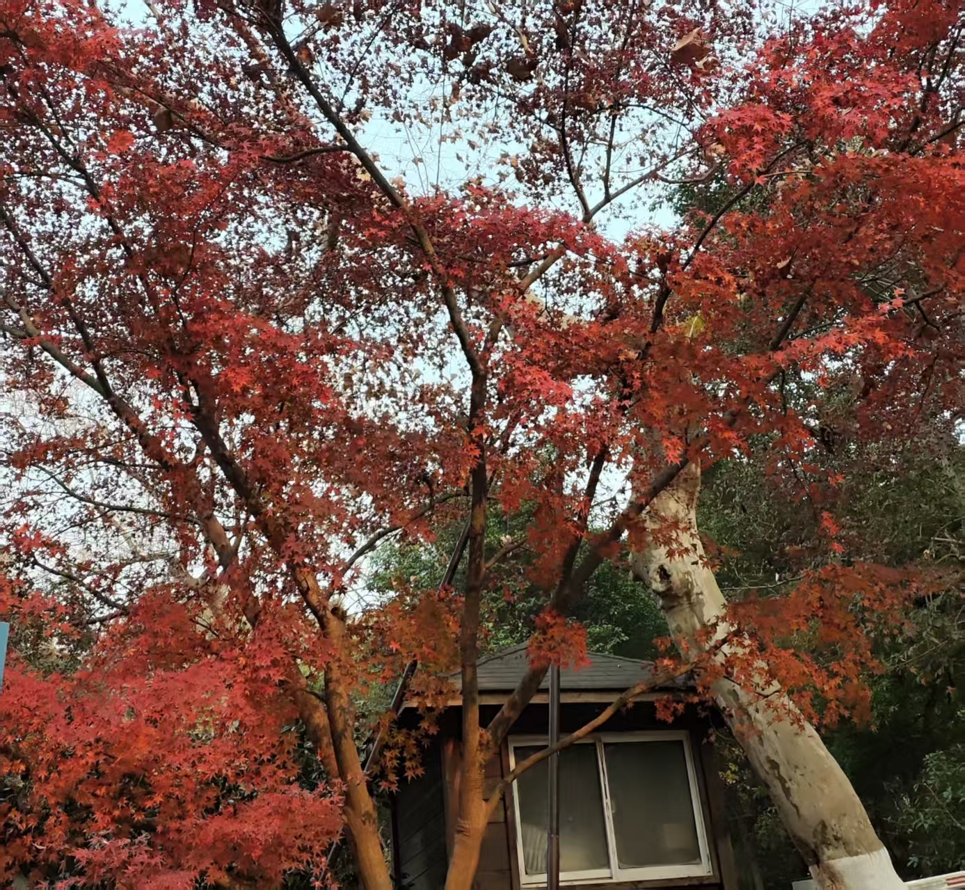 湖南省工业和信息化厅印发《湖南省级人工智能终端产品认定管理办法(试行)》