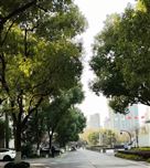 ��AI+�������ں� ������ҵ���ʽ���