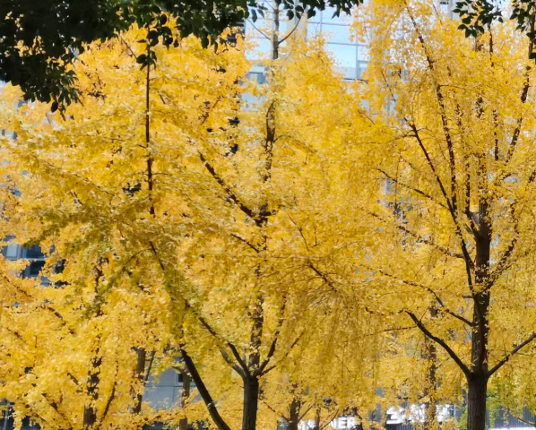 新华三集团与浦发银行签署战略合作协议