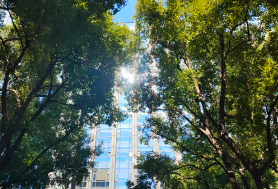 海师大×中科曙光：全栈国产超智算力平台上线