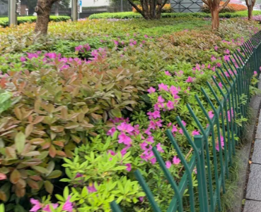 遵义市举办数据基础制度政策宣传培训会 助推数据要素市场化价值化落地见效