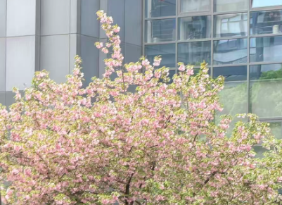 潍坊市全链条发力 深化数据要素改革创新