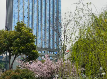 企业动态汇总：大华、新华三、思特威......