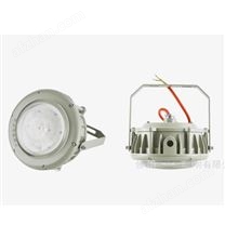 欧普照明辉恒80W100W200W隔爆防爆灯IP66WF2