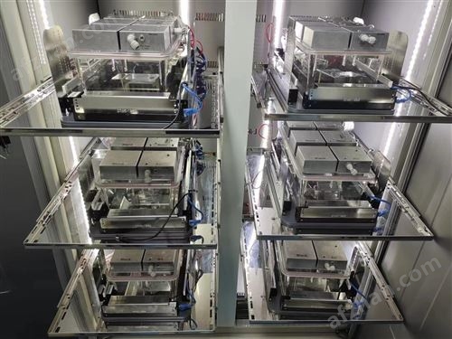 Columbus CLAMS实验动物能量代谢监测系统